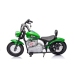 Bērnu elektro motocikls A9902 36V Green