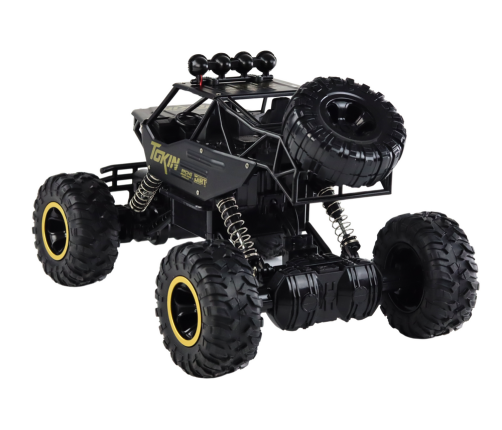 Radiovadāmā mašīna ar pulti Monster Truck Black 4x4