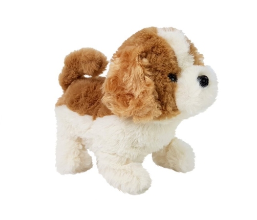 Battery Operated Interactive Dog Brown-White Walks Moves His Tail Sound