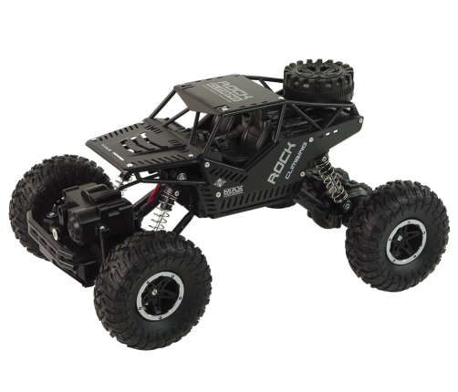 RC Rover 1:16 Car Black Remote Controlled Vehicle