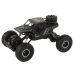 RC Rover 1:16 Car Black Remote Controlled Vehicle