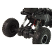 RC Rover 1:16 Car Black Remote Controlled Vehicle