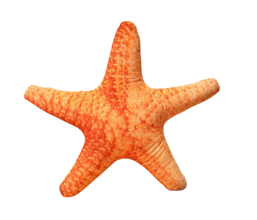 Mascot Plush Starfish Pillow 50 x 40 cm