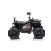 Электрический квадроцикл для детей Quad Madman JS009 Black