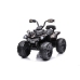 Электрический квадроцикл для детей Quad Madman JS009 Black