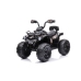 Электрический квадроцикл для детей Quad Madman JS009 Black