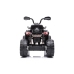 Электрический квадроцикл для детей Quad Madman JS009 Black