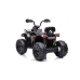 Электрический квадроцикл для детей Quad Madman JS009 Black