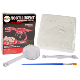 Archaeology Excavation Kit Dinosaur Skeleton 3D Tyrannosaurus Rex Hologram