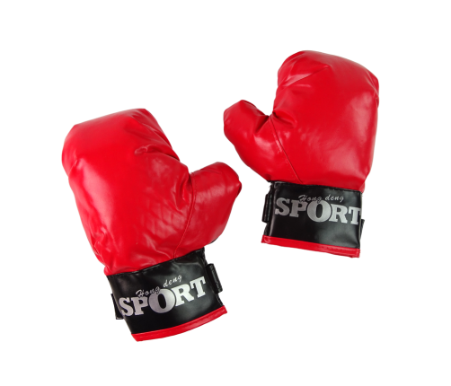 Boxing Set  Sack + Velcro gloves