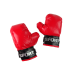 Boxing Set  Sack + Velcro gloves