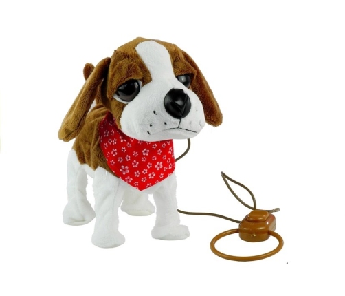 Interactive Dog On a Lead with Head-Scarf Moves Tail Sings