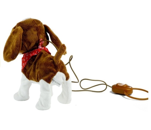 Interactive Dog On a Lead with Head-Scarf Moves Tail Sings