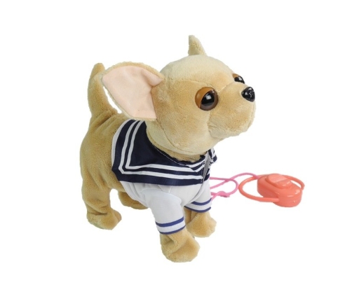 Interactive Dog On a Leash Sailor with Scarf and Accessories