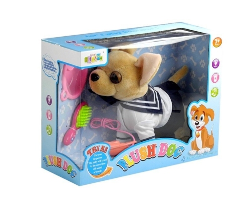 Interactive Dog On a Leash Sailor with Scarf and Accessories