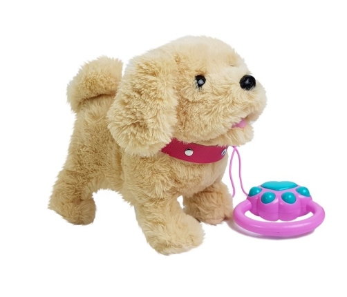 Plush Dog on a Leash Battery-Powered Beige Accessories