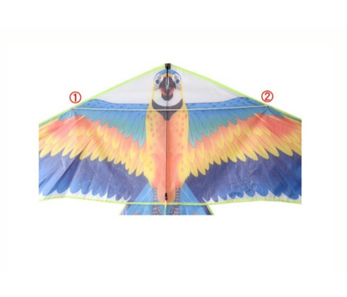 Mega Large Kite Bird Long Tail Colorful