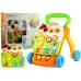 Interactive Playing Walker Pusher Great Gift for Newborn baby!