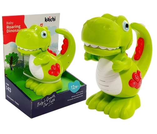 Roaring dinosaur baby toy