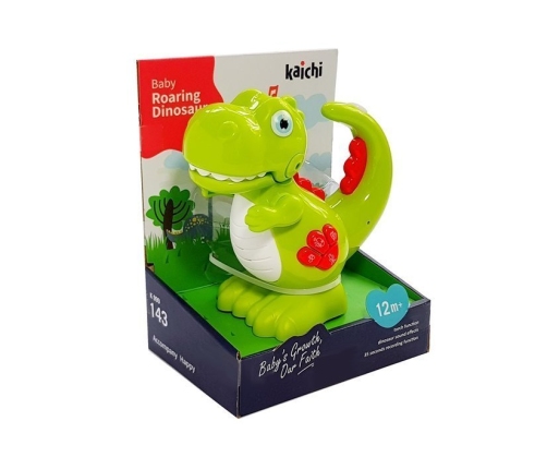 Roaring dinosaur baby toy