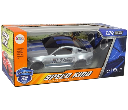 Remote-Controlled R/C Sports Car 1:24 Speed King