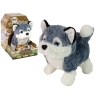 Interactive Husky Dog Mascot Walks Moves Tail Sound