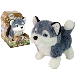 Interactive Husky Dog Mascot Walks Moves Tail Sound