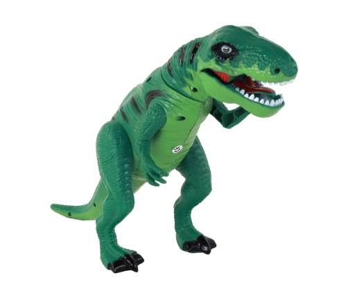 Dinosaur Set Tyrannosaurus Rex Accessories Sound Lights