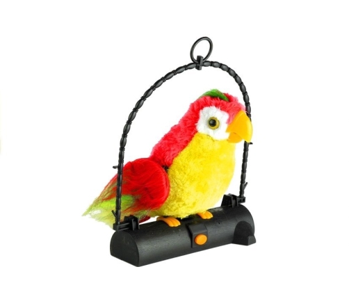 Talk Back Parrot - Imitates Your Voice and Sounds