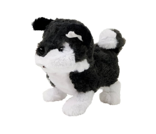 Interactive Husky Battery Operated Dog Walks Moves His Tail Sound