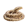 Plush Brown Snake Mascot 400 cm