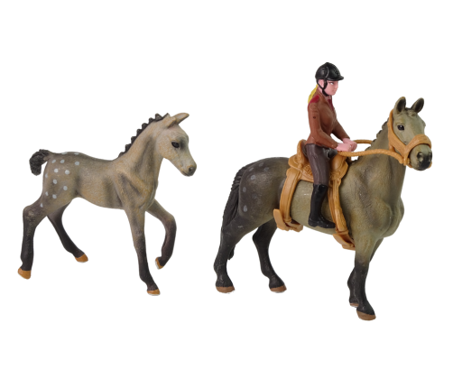 Set of 2 figurines Horse and foal in a corral + Rider