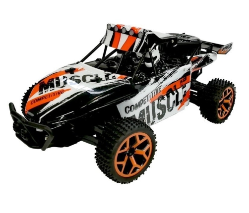 R/C Car Cadio Control 1:18 Buggy Car