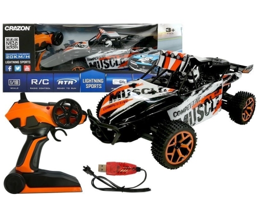 R/C Car Cadio Control 1:18 Buggy Car