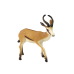 Antelope Collector's Figurine Antelope Jumper Animals of the World