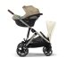 Cybex Gazelle S Wózek Spacerowy Bliźniaczy Rama Taupe Seashell Beige