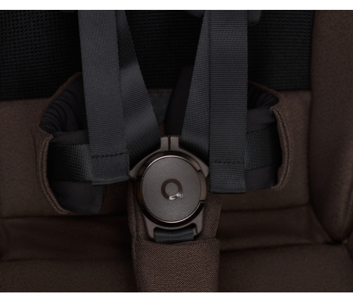 Anex IQ Premium Wózek Głęboko-Spacerowy Teddy