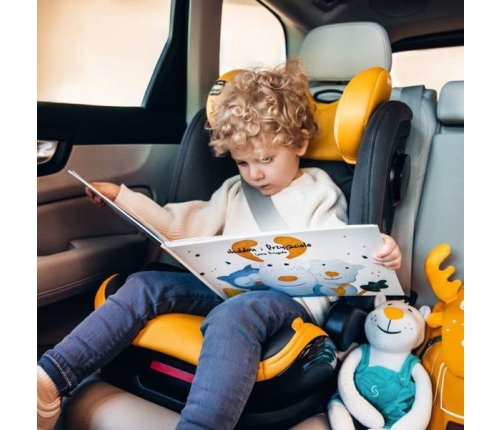 Skiddou Taby Fotelik Samochodowy 15-36 kg Nomadic Dream