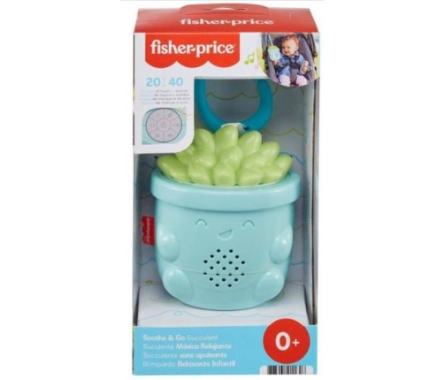 Fisher Price Zawieszka Sukulent Uspokajacz GRV07