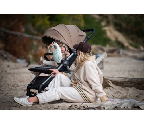 Espiro Wave 2023 Wózek Spacerowy 217 Anthracite Stone