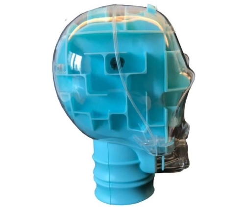 Dumel  Wyścig z Czasem Gra Zręcznościowa