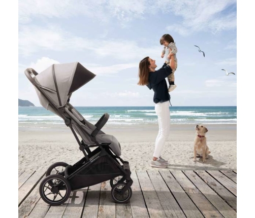 Inglesina Maior 2023 Horizon Grey Прогулочная Коляска