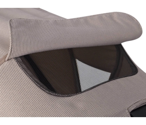 Cavoe Axo Shine Flamingo Bērnu rati 2in1