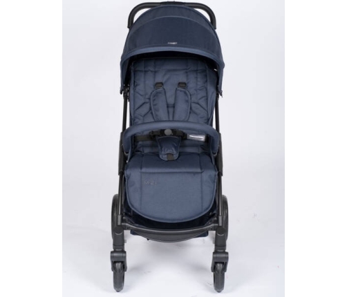 Mast M2x Blueberry Pastaigu rati