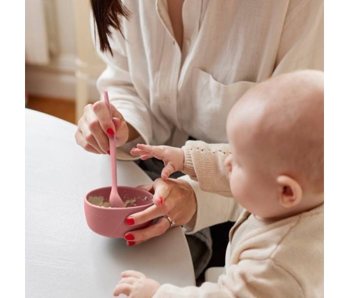 Everyday Baby Miseczka Silikonowa Bez Przyssawki 2 Szt. Ceglany