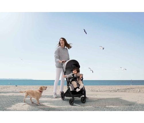 Inglesina Maior 2023 Magnet Grey Прогулочная коляска