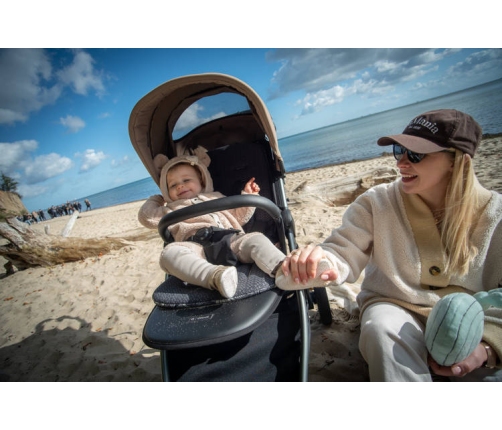 Espiro Wave 317 Gray Melody Прогулочная коляска