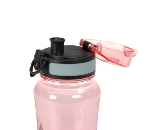 Lassig Zestaw Na Lunch Lunchbox + Butelka Tritanowa Bidon 460ml About Friends Dinozaur Różowy