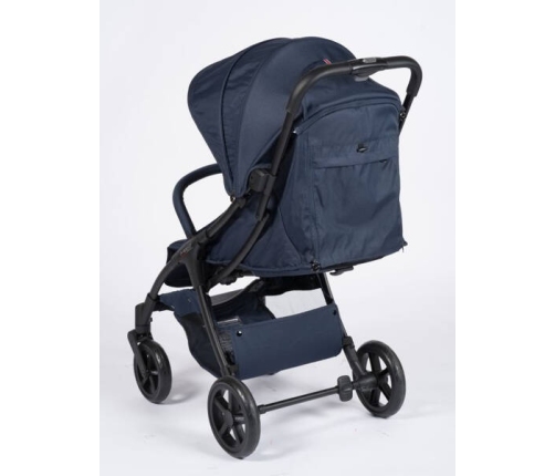 Mast M2x Blueberry Pastaigu rati