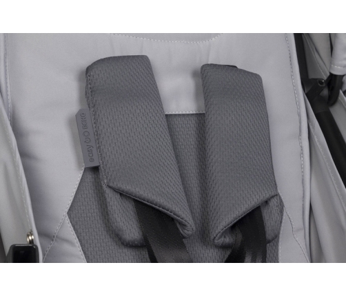 EasyGo Echo Cloudy Gray Dvīņu rati